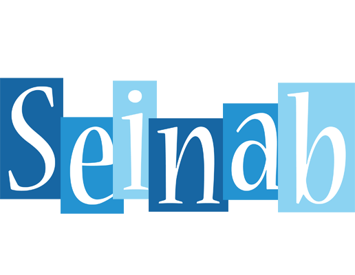 Seinab winter logo