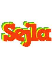 Sejla bbq logo