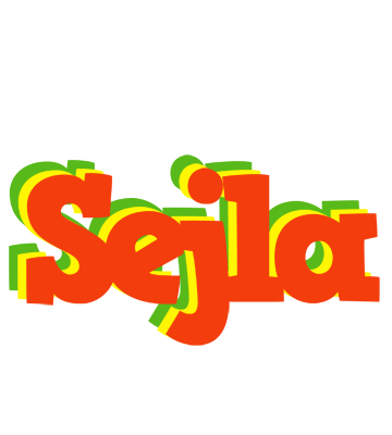 Sejla bbq logo