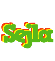 Sejla crocodile logo