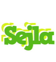 Sejla picnic logo