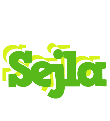 Sejla picnic logo