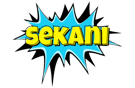 Sekani amazing logo