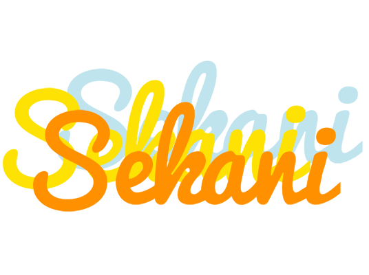 Sekani energy logo