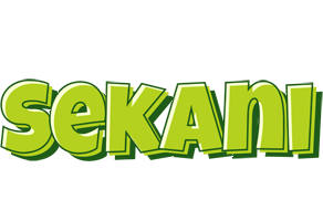 Sekani summer logo