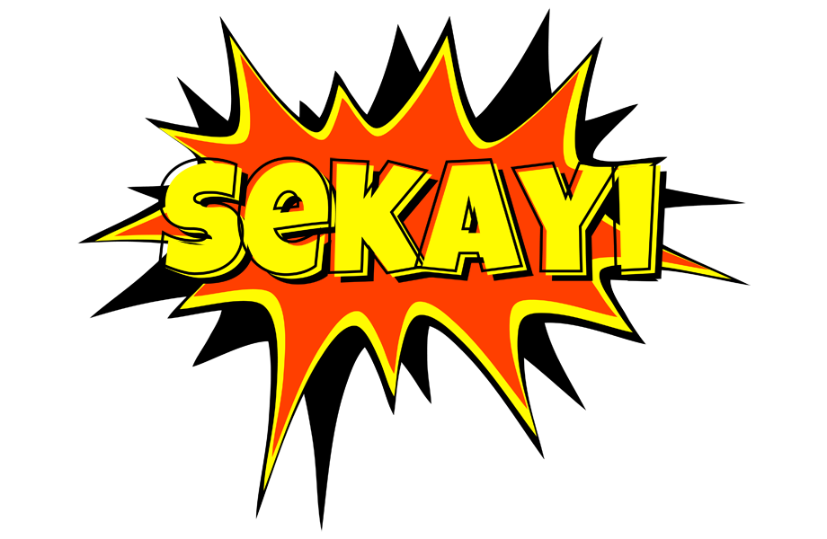 Sekayi bazinga logo