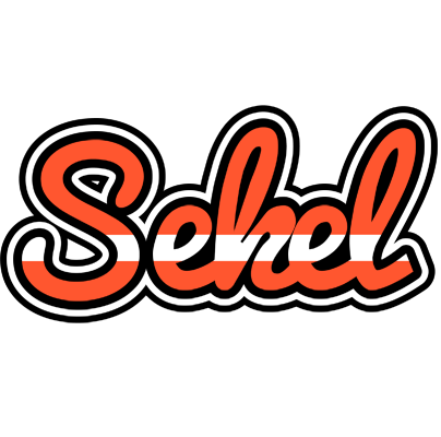Sekel denmark logo