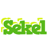 Sekel picnic logo