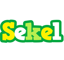 Sekel soccer logo