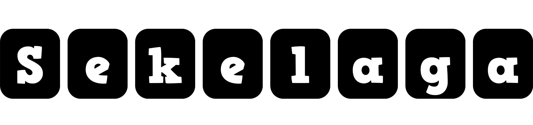 Sekelaga box logo