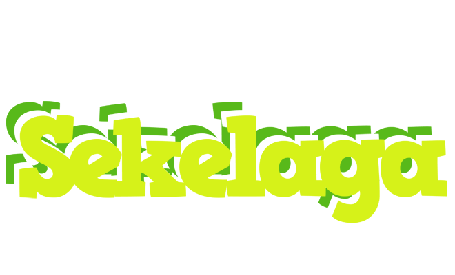 Sekelaga citrus logo