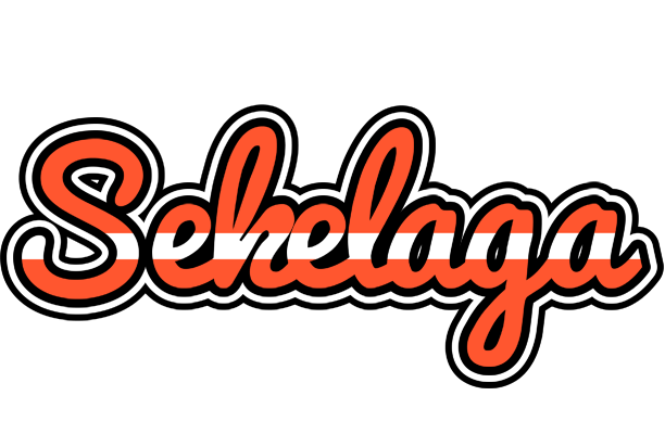 Sekelaga denmark logo