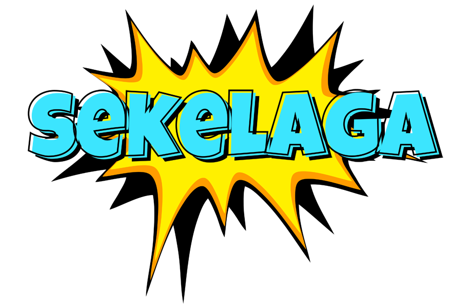 Sekelaga indycar logo