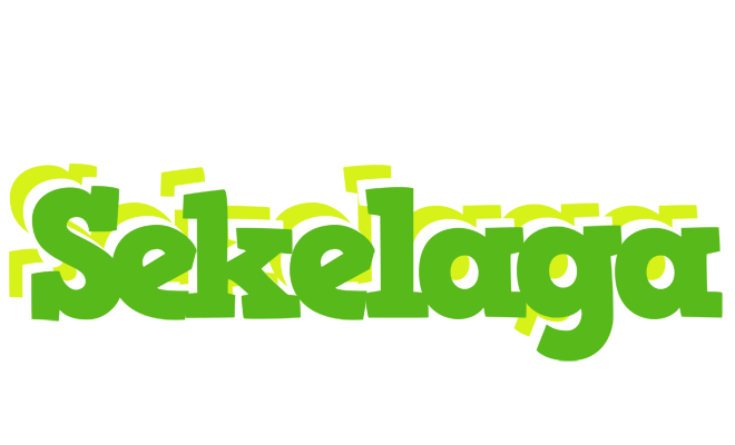 Sekelaga picnic logo