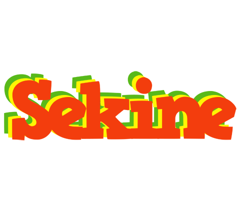 Sekine bbq logo