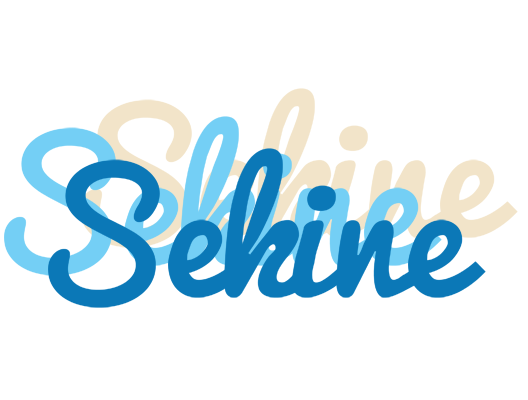 Sekine breeze logo