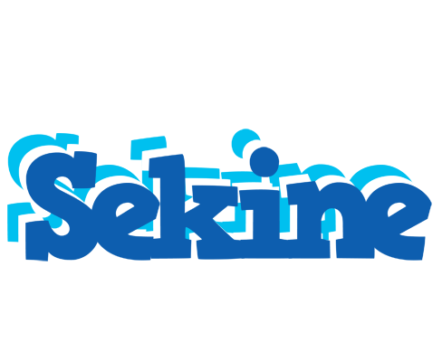 Sekine business logo