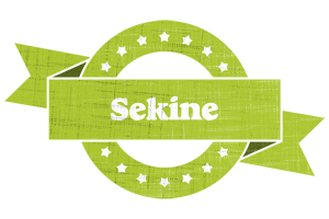 Sekine change logo