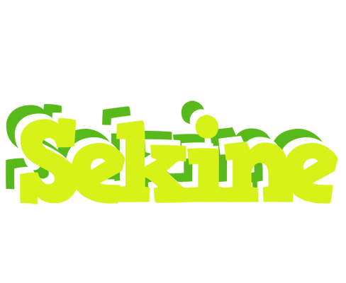 Sekine citrus logo