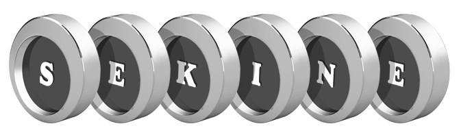 Sekine coins logo
