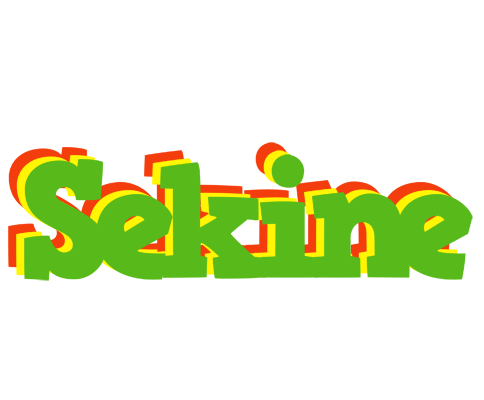 Sekine crocodile logo