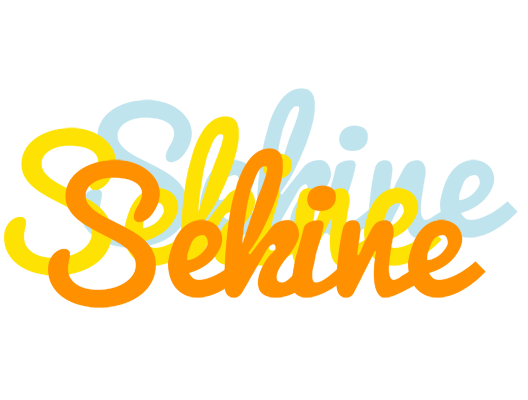 Sekine energy logo