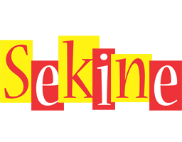 Sekine errors logo