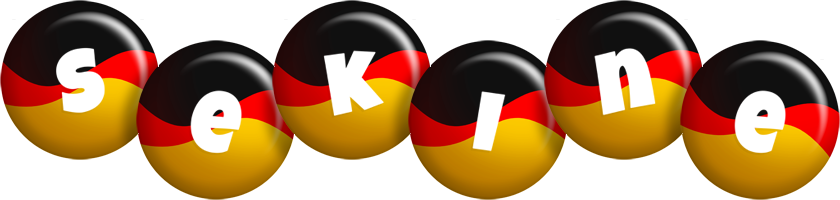 Sekine german logo