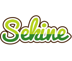 Sekine golfing logo