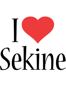 Sekine i-love logo