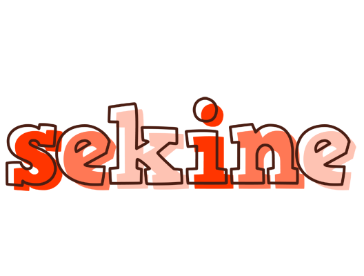 Sekine paint logo