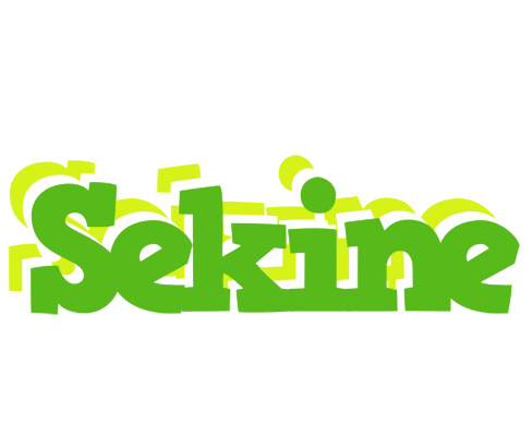 Sekine picnic logo