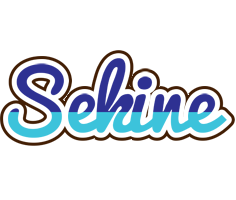 Sekine raining logo