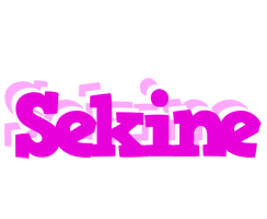 Sekine rumba logo