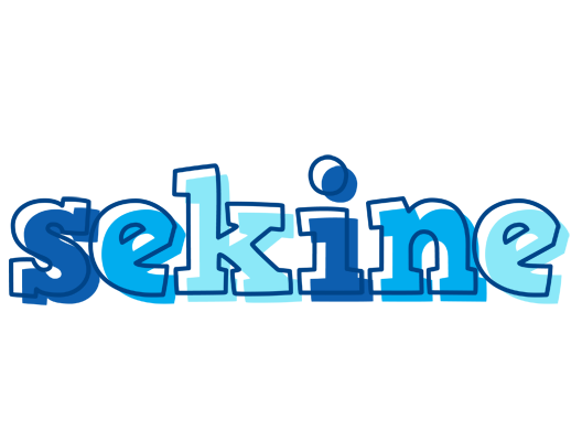 Sekine sailor logo