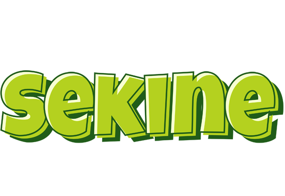 Sekine summer logo