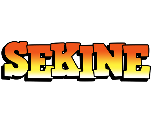 Sekine sunset logo