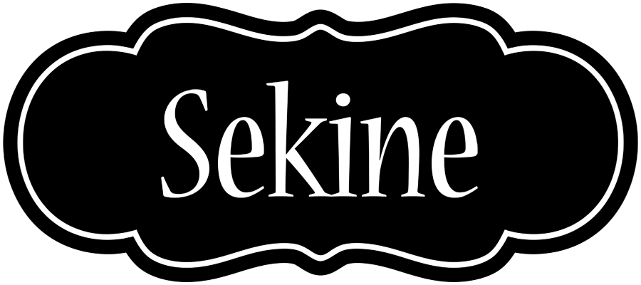 Sekine welcome logo