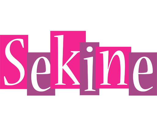Sekine whine logo