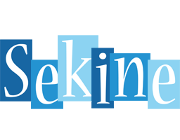 Sekine winter logo