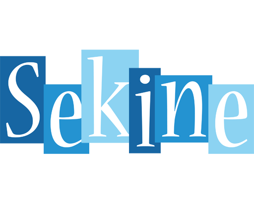 Sekine winter logo