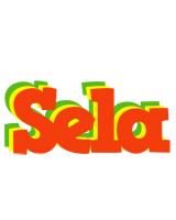 Sela bbq logo