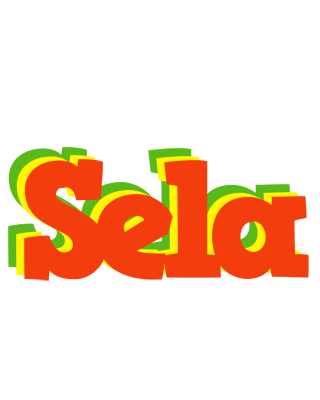 Sela bbq logo
