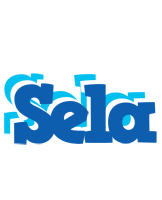 Sela business logo