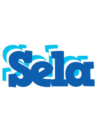 Sela business logo