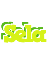 Sela citrus logo