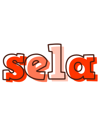 Sela paint logo