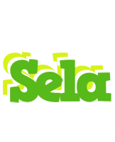 Sela picnic logo