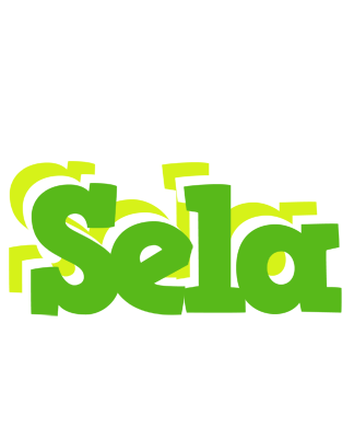 Sela picnic logo