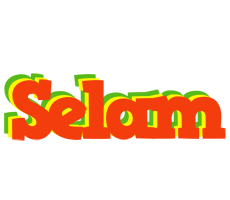 Selam bbq logo